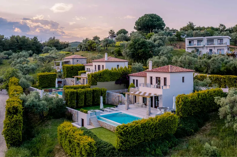 The villas among olive trees and hedges at sunset